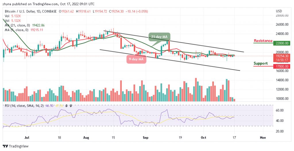 Bitcoin Price Prediction for Today, October 17: BTC Retraces Below $19,500