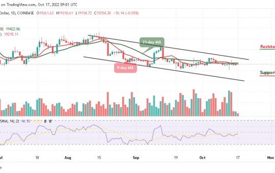 Bitcoin Price Prediction for Today, October 17: BTC Retraces Below $19,500