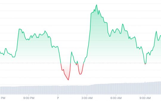 Best Cryptos to Buy Today 7 November – D2T, RIA, IMPT, MATIC, PHA