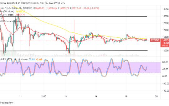 Bitcoin Price Prediction for Today, November 20: BTC Prices Lower