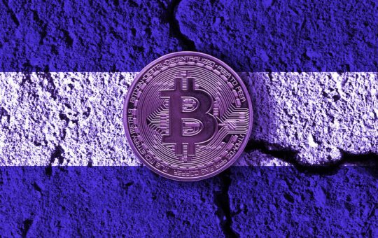 El Salvador Development Bank Refuses to Reveal Bitcoin Records