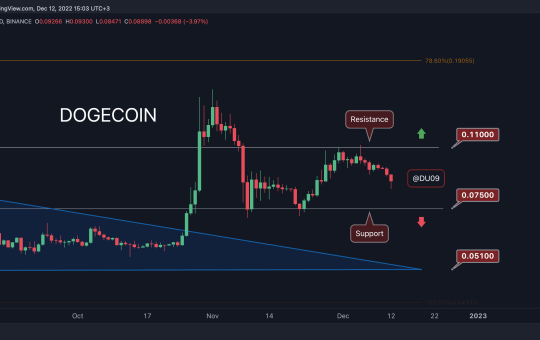 DOGE Crashes 8% Daily, How Low Can it Drop? (Dogecoin Price Analysis)