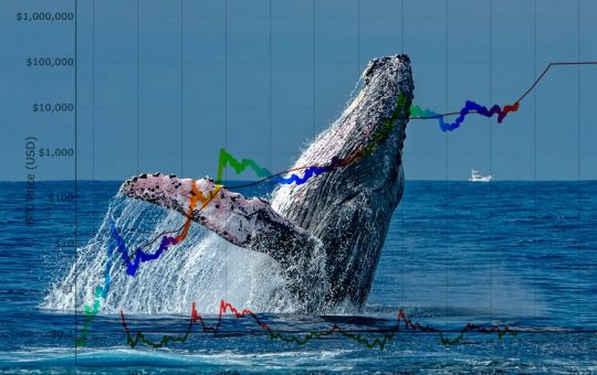 Crypto Whales Believe These Altcoins Have Huge Potential – Find Out Why