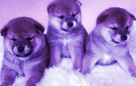 Dogecoin, Bonk and Shiba Inu Combine for $25 Billion in Monthly Trading Volume