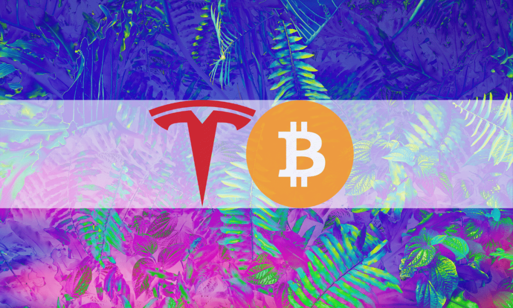 Tesla Remained a Bitcoin Hodler During Q2 of 2022