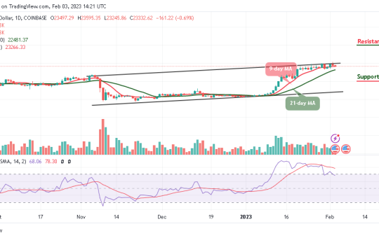 Bitcoin Price Prediction for Today, February 3: BTC/USD Likely to Slide Below $22,000 Support