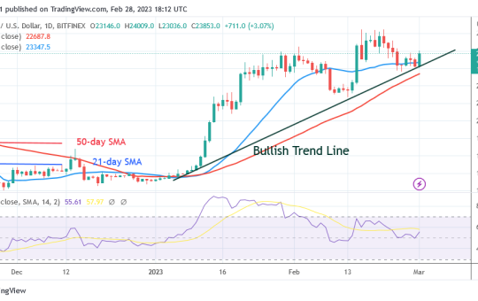 Bitcoin Price Prediction for Today, February 28: BTC Price Retests and Holds below $24K