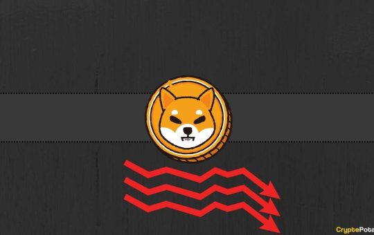 Almost 90% of Shiba Inu (SHIB) Holders Currently Underwater, But There's More