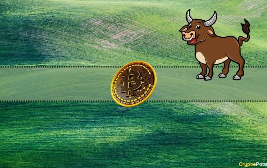 We Asked ChatGPT if There Will Be a Bitcoin Bull Market in 2024