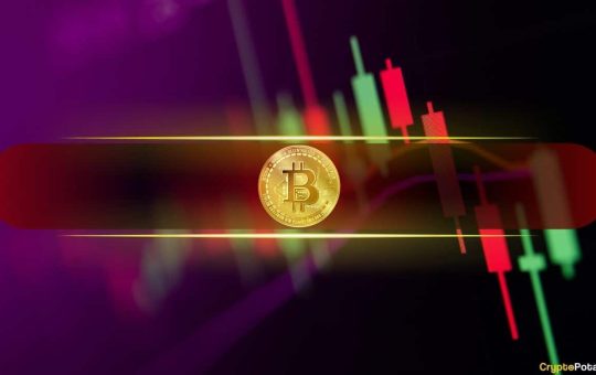 Bitcoin Shoots Up to $44K, Solana and Cardano Lead the Altcoin Revival (Market Watch)