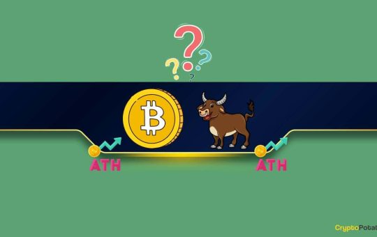 3 Key Signs That the Bitcoin (BTC) Bull Market Is Just Getting Started