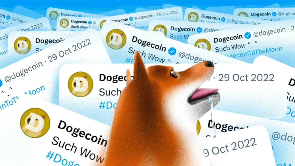 End of an Era: Kabosu, the Doge Meme Inspiration, Passes Away