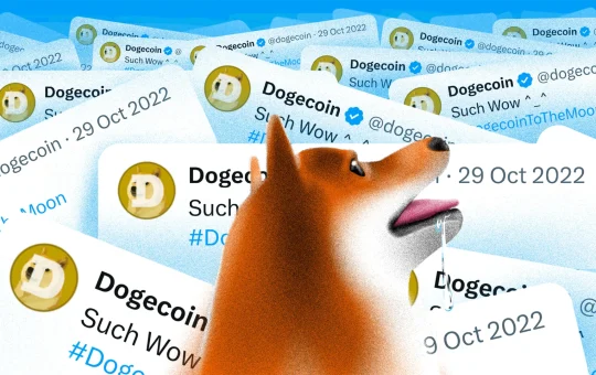 End of an Era: Kabosu, the Doge Meme Inspiration, Passes Away