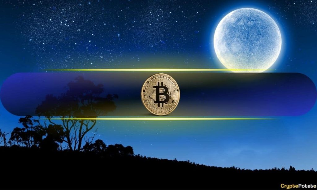 This Is When BTC Price Could Soar to $150K, According to Bitcoin Halving Cycles: Peter Brandt