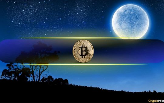 This Is When BTC Price Could Soar to $150K, According to Bitcoin Halving Cycles: Peter Brandt