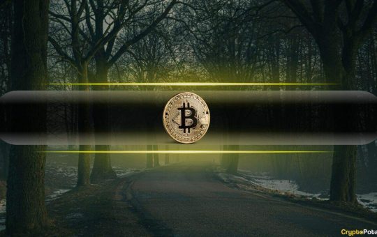 This Is Why Bitcoin (BTC) Could Drop to $40K: CryptoQuant