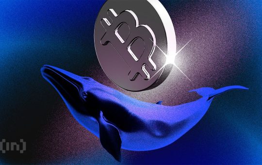 Dormant Bitcoin Whale Wallet From 2016 Moves 3,000 BTC