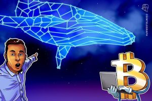 Bitcoin whale bets $368M with 40x leverage on BTC decline ahead of FOMC