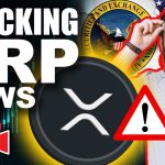 Top Crypto Experts Reveal Shocking XRP Lawsuit NEWS (Why Nations are Turning To Crypto)