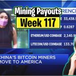 Weekly Mining Payouts 7/11/21 | Week 117