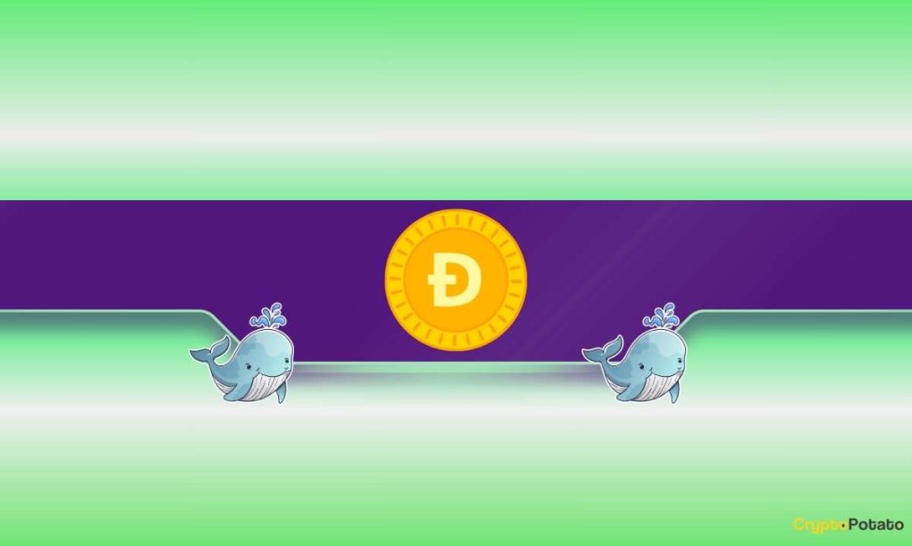 130M DOGE Scooped Up as Price Slides 15%