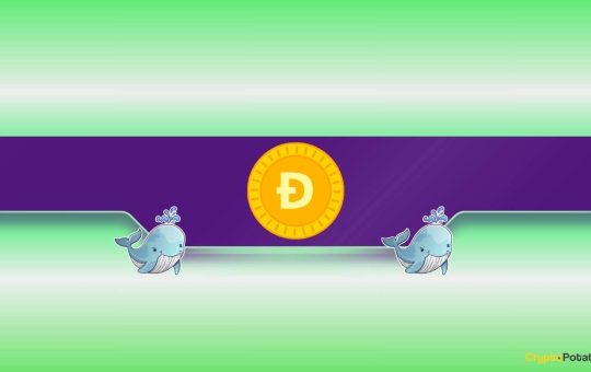 130M DOGE Scooped Up as Price Slides 15%
