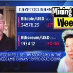 Weekly Mining Payouts 6/27/21 | Week 115