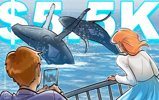 Bitcoin Whales Buy Ether After ETH Price Hits Record Highs