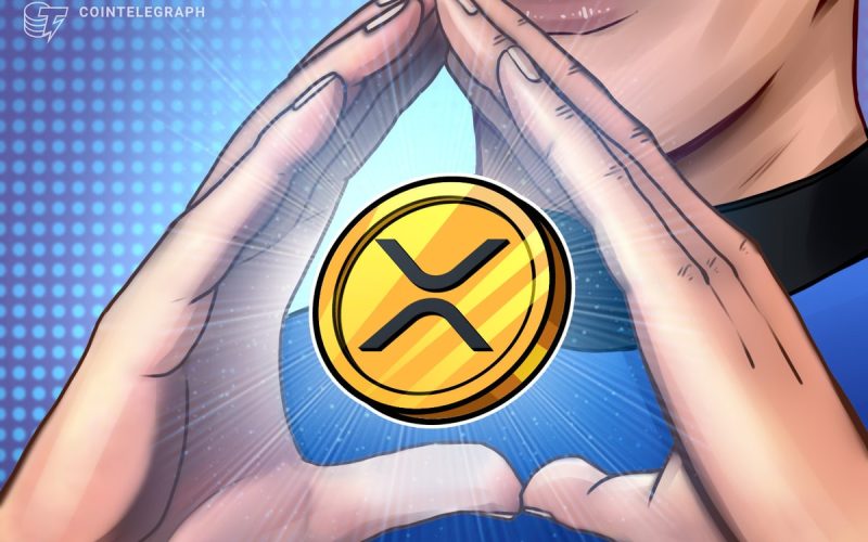 XRP Open Interest Dips 30% Amid Whale Inflows