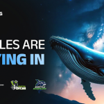 whale entry, ALGO price analysis & Pi Coin price drop